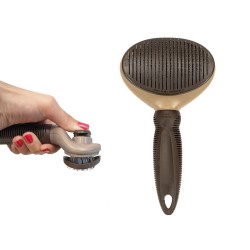 Brosse Gloria Plastique