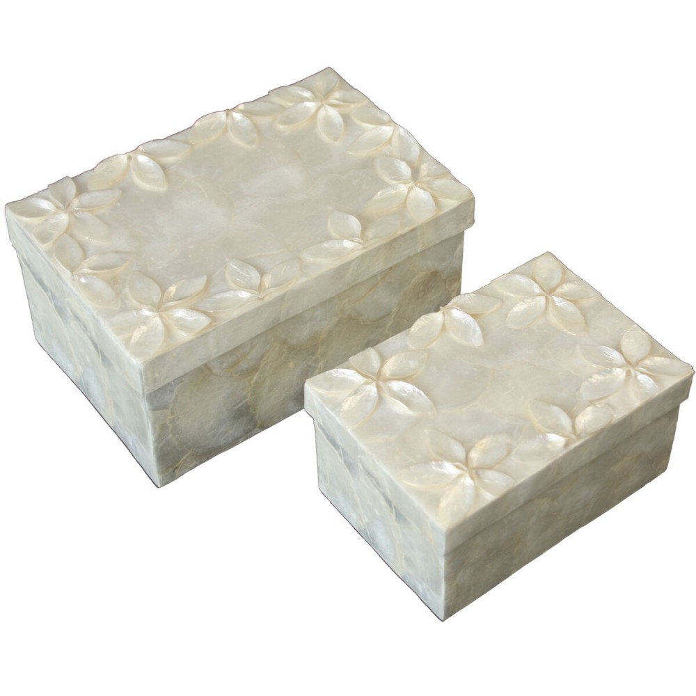 Set of decorative boxes Alexandra House Living Mother of pearl 2 Pieces