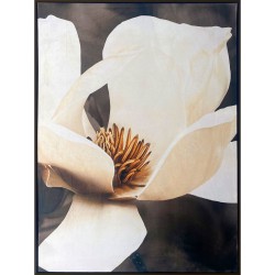 Painting Romimex Velvet MDF Wood Flower 83 x 123 x 4 cm