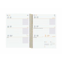 Agenda Finocam 8º SVH Multicouleur 1/8 12 x 16,4 cm 2024-2025