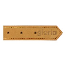 Dog collar Gloria Oasis Yellow (50 x 2,1 cm)