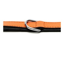 Collier pour Chien Gloria Rembourré Orange (30 x 1,5 cm)