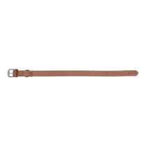 Collier pour Chien Gloria Oasis Marron (40 x 1,5 cm)