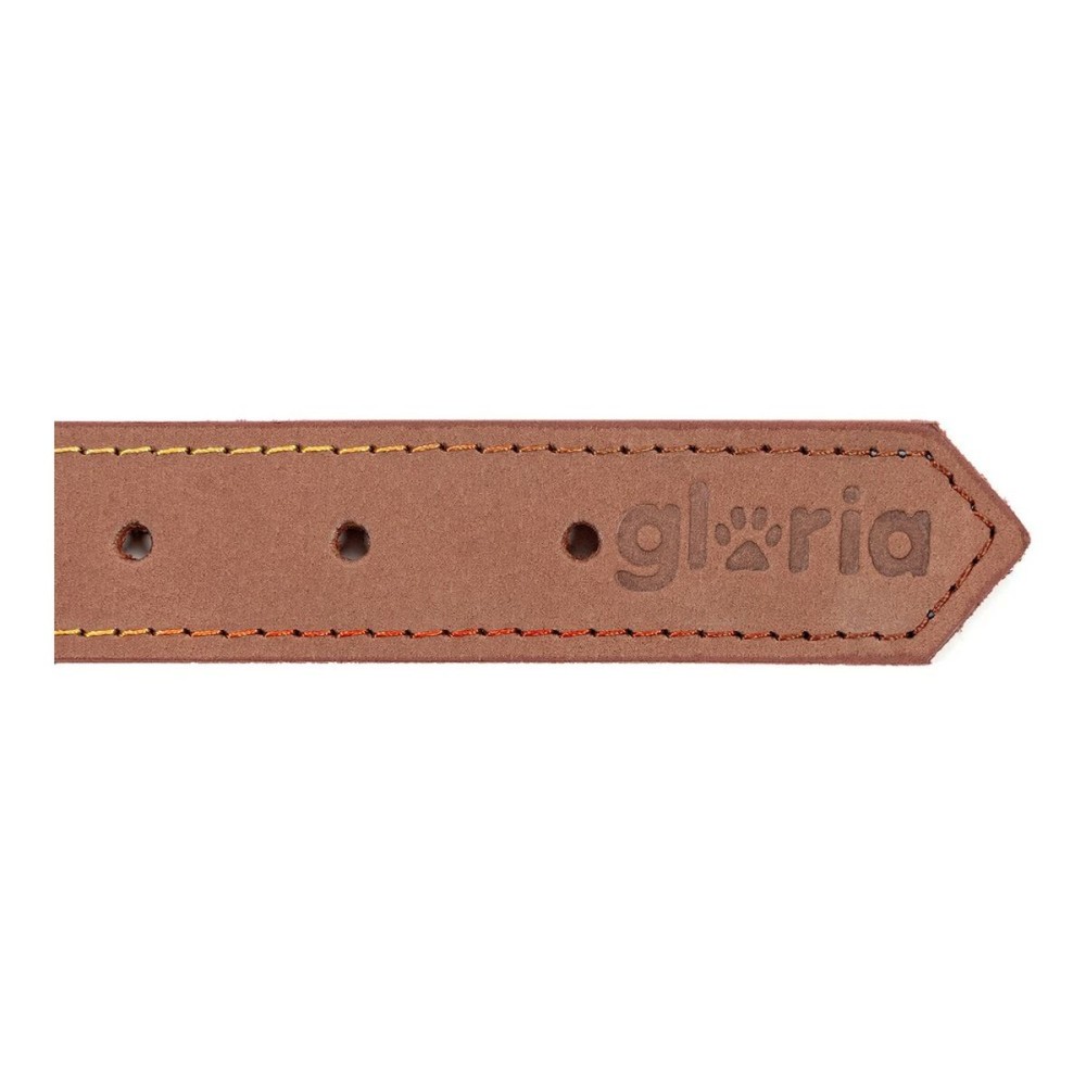 Hundehalsband Gloria Oasis Braun 40 cm (40 x 1,5 cm)