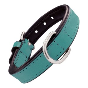 Collier pour Chien Gloria Rembourré Turquoise (30 x 1,5 cm)