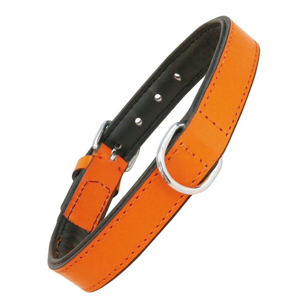 Hundehalsband Gloria Polsterung Orange 40 cm (40 x 2 cm)