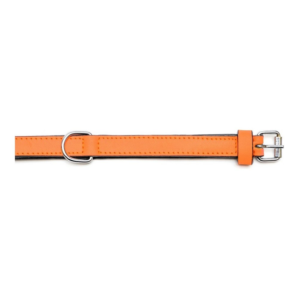 Dog collar Gloria Padded Orange (40 x 2 cm)