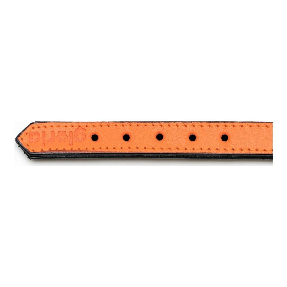 Hundehalsband Gloria Polsterung Orange 40 cm (40 x 2 cm)