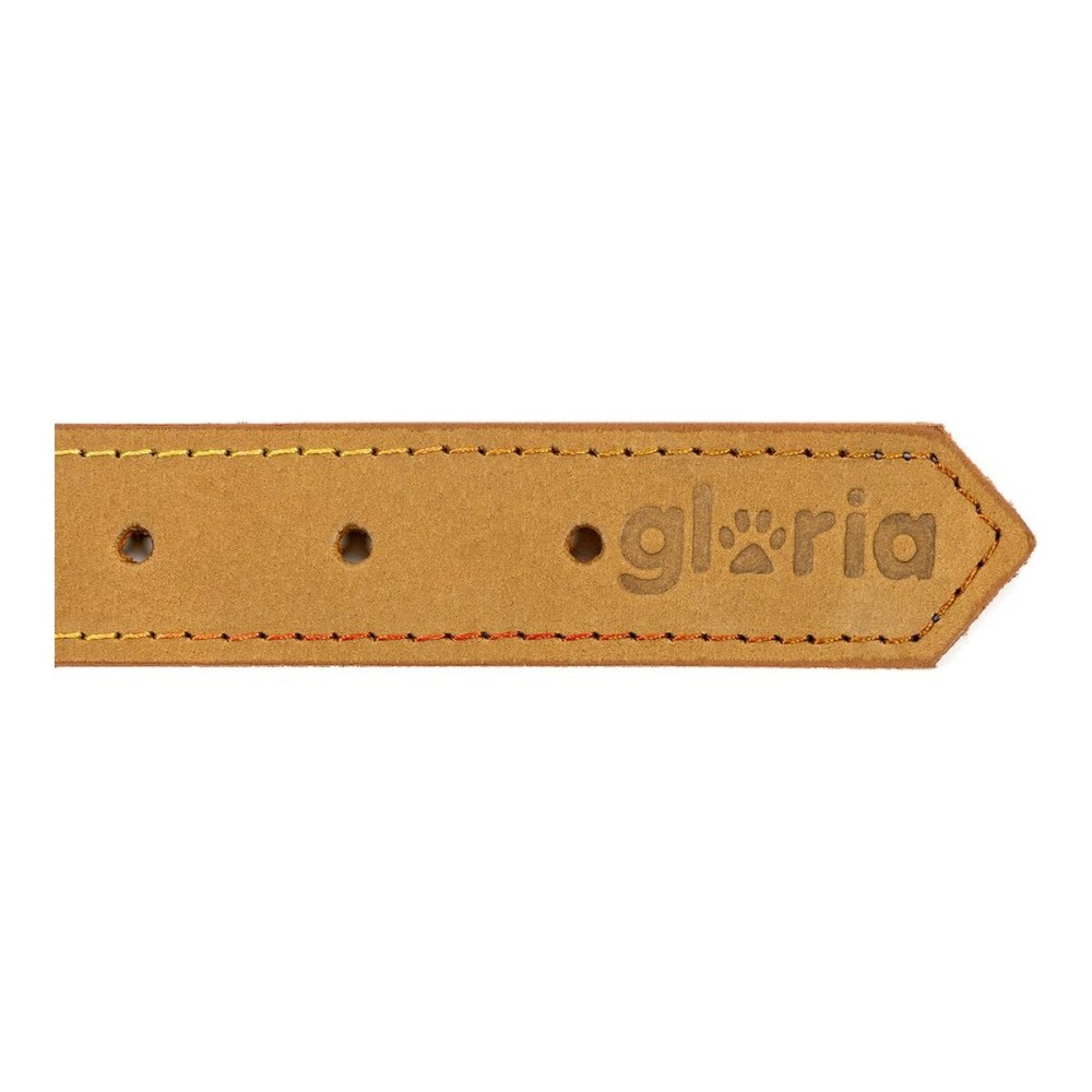 Dog collar Gloria Oasis Yellow (35 x 1,2 cm)