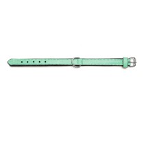 Dog collar Gloria Padded Green (30 x 1,5 cm)