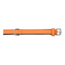 Hundehalsband Gloria Polsterung Orange 55 cm (55 x 2,5 cm)