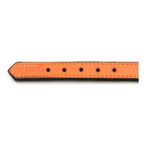 Collier pour Chien Gloria Rembourré Orange (55 x 2,5 cm)