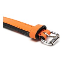 Collier pour Chien Gloria Rembourré Orange (55 x 2,5 cm)