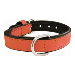 Dog collar Gloria Padded Coral (40 x 2 cm)