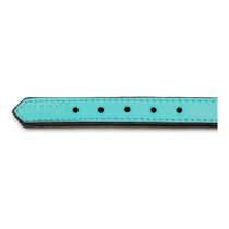 Hundehalsband Gloria Polsterung Turquoise 55 cm (55 x 2,5 cm)