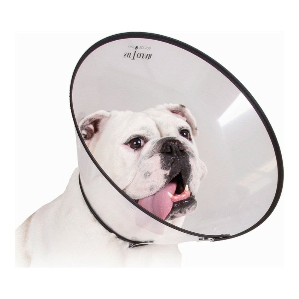 Elizabethan Dog Collar KVP Saf-T-Clear Transparent (15-23 cm)