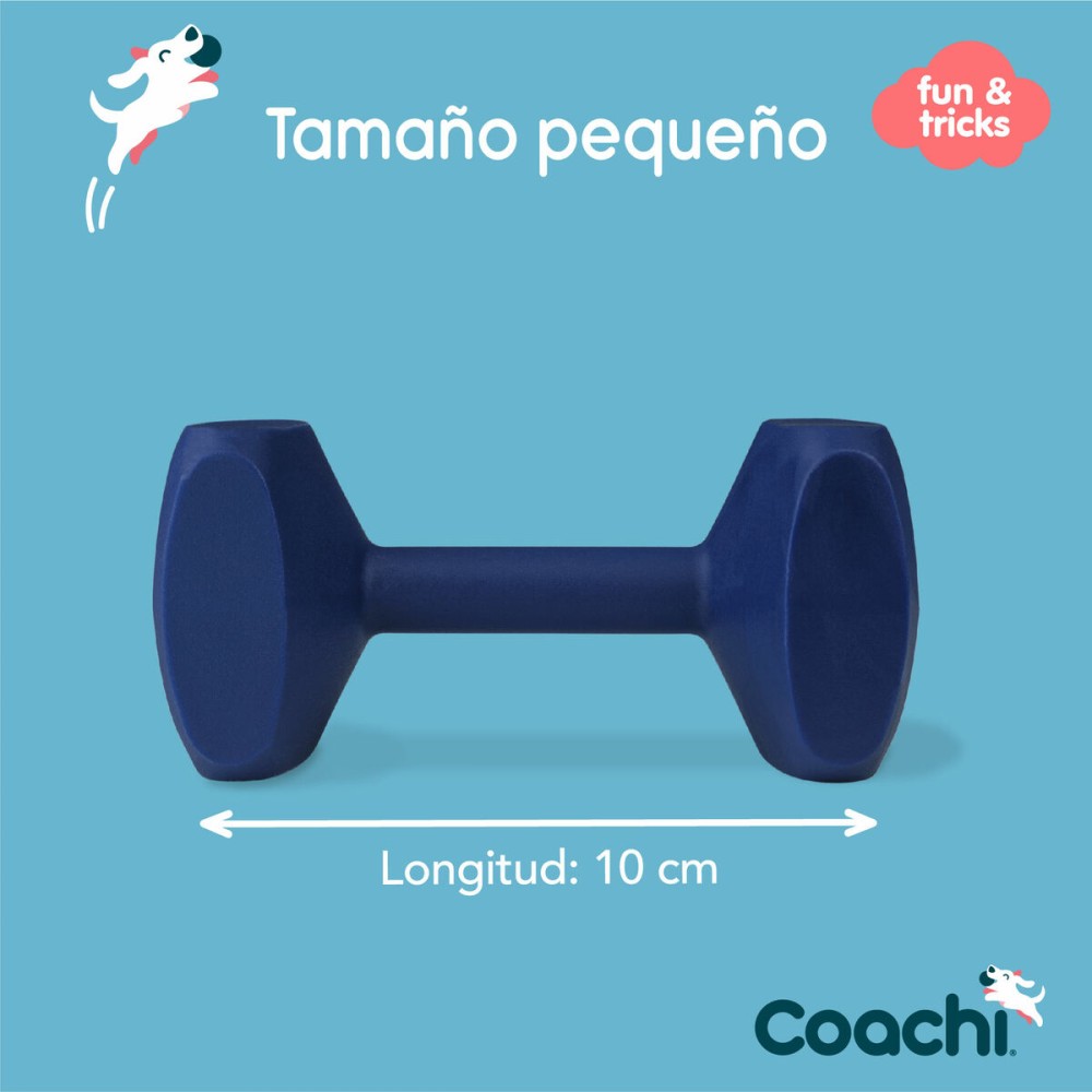 Dumbbell Coachi TRAINING DUMBBELL Blue