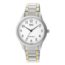 Montre Homme Q&Q C02A-005PY