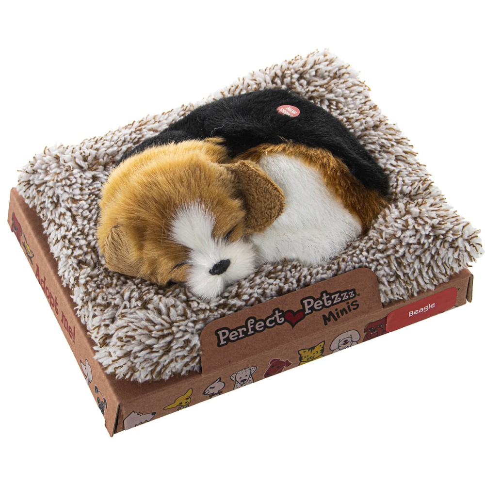 Peluche sonore Alexandra House Living Multicouleur Chien 14 x 6 x 13 cm Mini