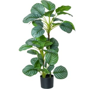 Dekorationspflanze Alexandra House Living Kunststoff Calathea 90 cm