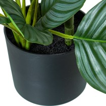 Dekorationspflanze Alexandra House Living Kunststoff Calathea 90 cm