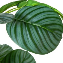 Dekorationspflanze Alexandra House Living Kunststoff Calathea 90 cm