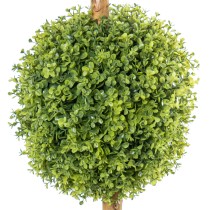 Decorative Plant Alexandra House Living Plastic 165 cm