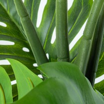 Decorative Plant Alexandra House Living Plastic Monstera 150 cm