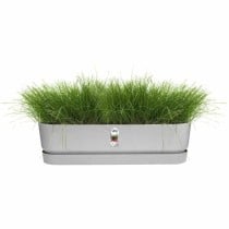 Jardinière Elho   Gris 70 cm Plastique