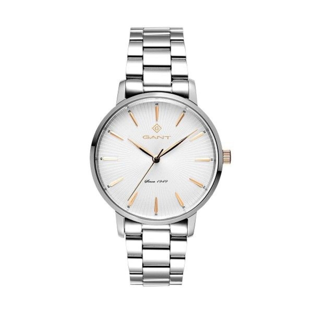 Men's Watch Gant G155001 Silver