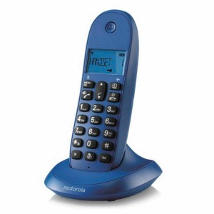 Kabelloses Telefon Motorola C1001