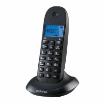 Kabelloses Telefon Motorola C1001