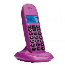 Kabelloses Telefon Motorola C1001