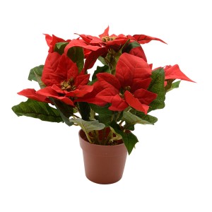 Decorative Plant Lifetime Red Poinsettia Ø 27 cm