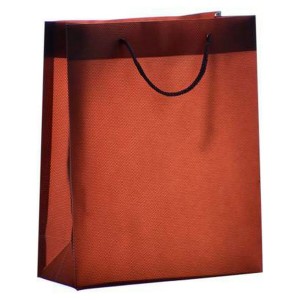 Sac Plastique (7,5 x 22 x 18 cm)