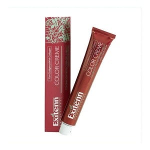 Permanent Dye Color Creme Exitenn Nº 660 Passion-Red (60 ml)