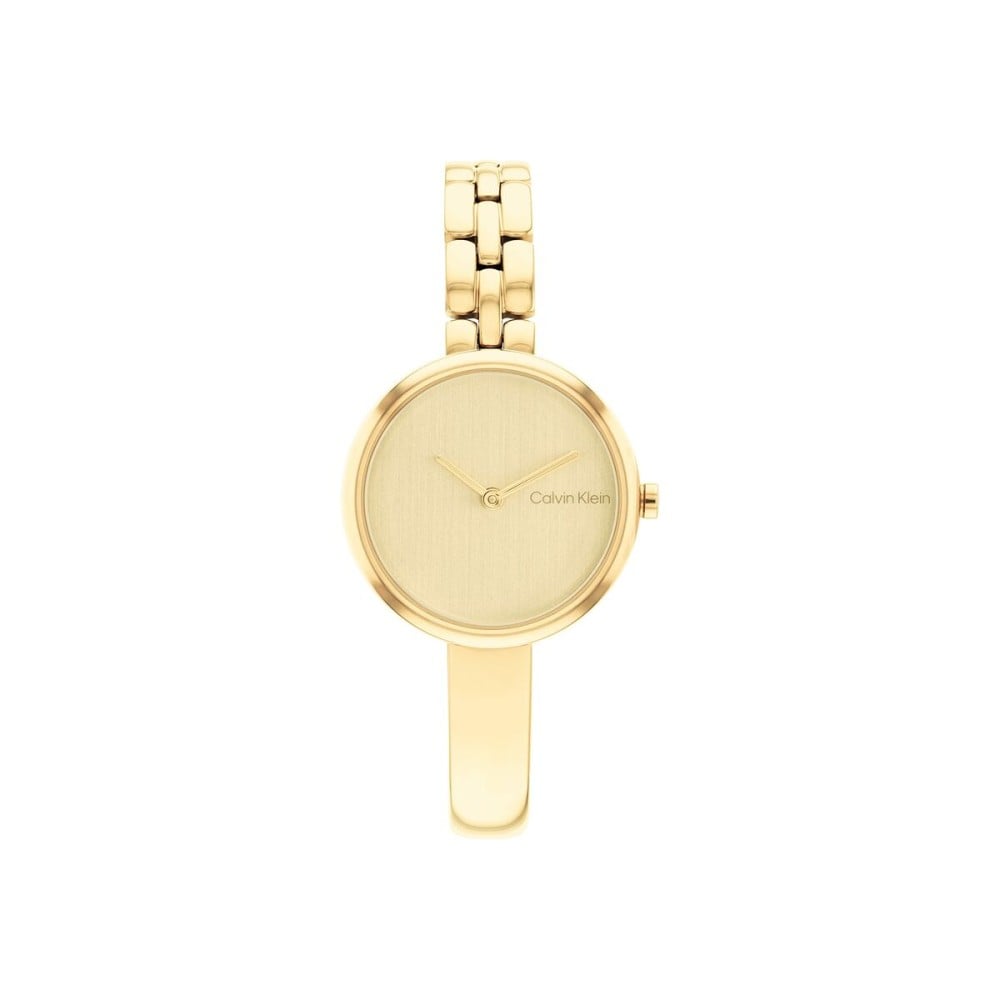 Men's Watch Calvin Klein 25200279 Golden