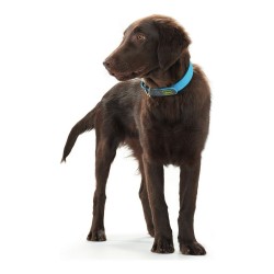 Hundehalsband Hunter Convenience Turquoise (42-50 cm)