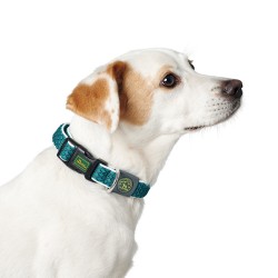 Hundehalsband Hunter Vario Basic Fäden türkis 20