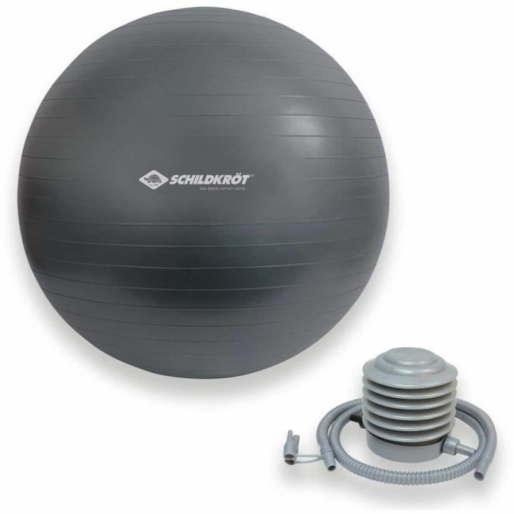 Inflatable ball Schildkröt Grey