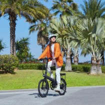 Elektrisches Fahrrad Xiaomi QICYCLE 20" 250W Grau 250 W 7500 mAh 20"