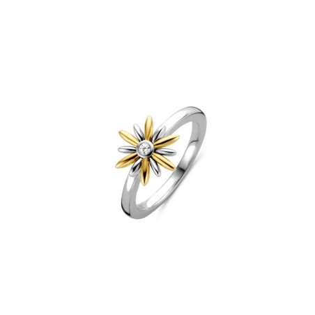 Bague Femme Ti Sento 12244ZY/56 16