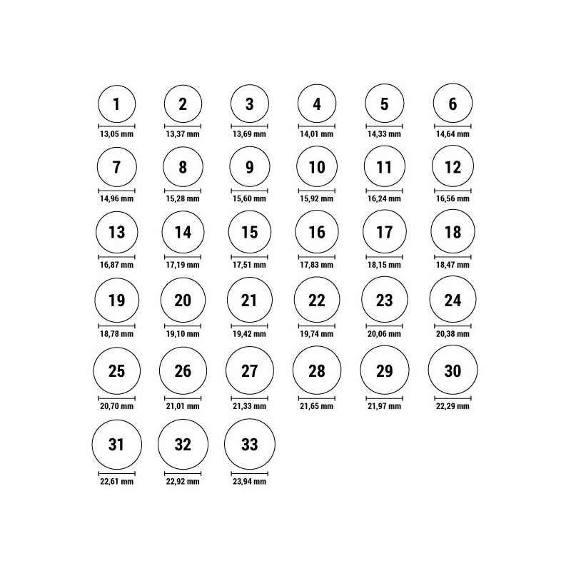 Damenring Ti Sento 12244ZY/56 16