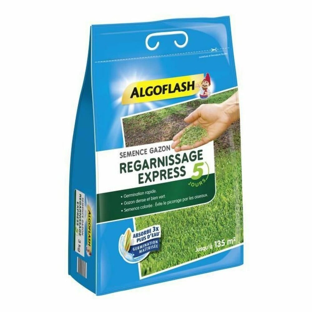 Graines Algoflash Express Pelouse 3 Kg