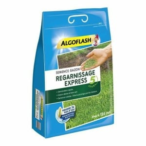 Graines Algoflash Express Pelouse 3 Kg