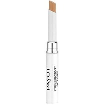 Crayon Correcteur Payot Pâte Grise 6 ml 2 en 1 Purificatrice