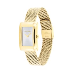 Ladies' Watch Calvin Klein 2520039