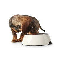 Futternapf für Hunde Hunter Schwarz 1,4 L Melamine