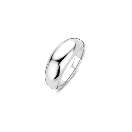 Ladies' Ring Ti Sento 12172SI/56 16