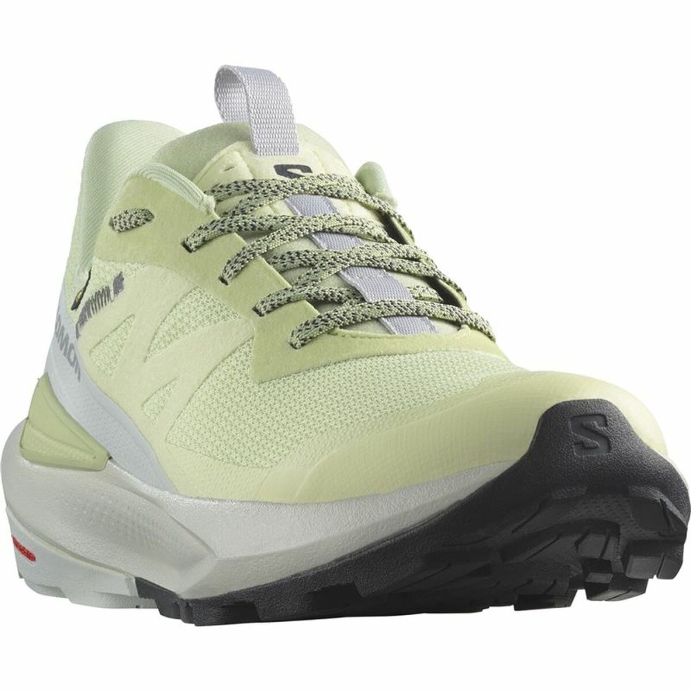 Chaussures de Running pour Adultes Salomon Elixir Activ GORE-TEX®